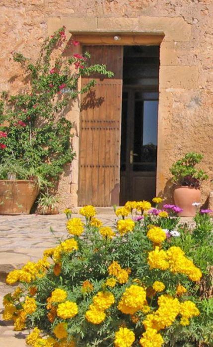 Finca Sa Cova Vella Manacor  Exterior foto